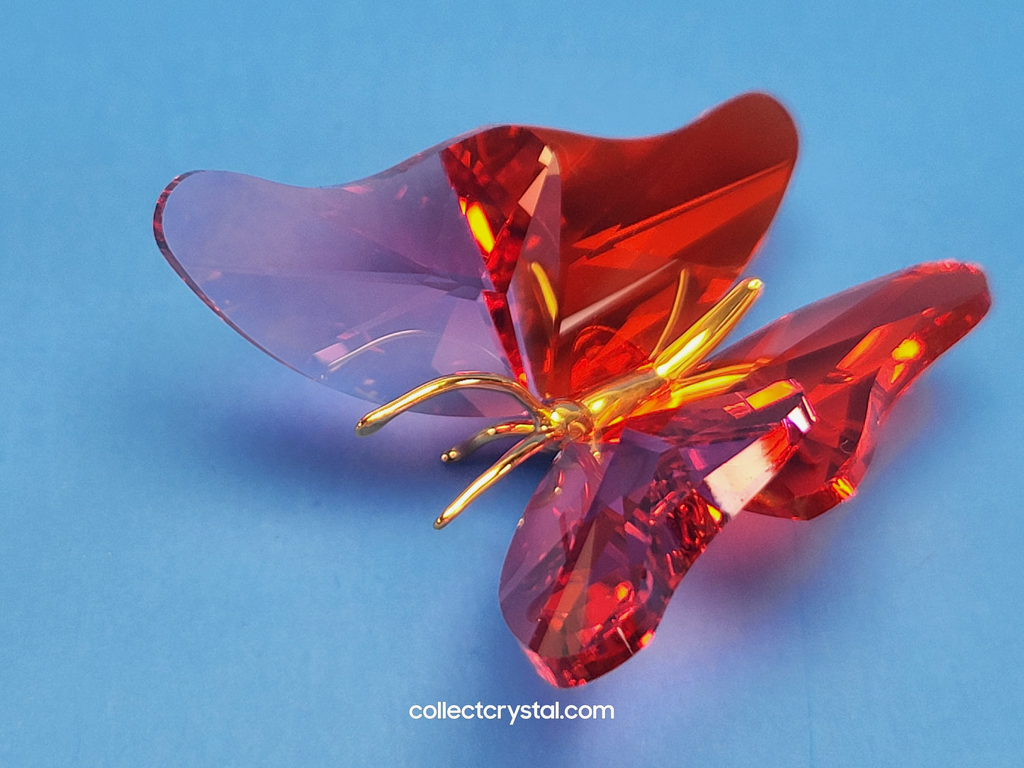PARADISE BUGS OBJECT – BUTTERFLY ABALA ROSE MEDIUM 250461