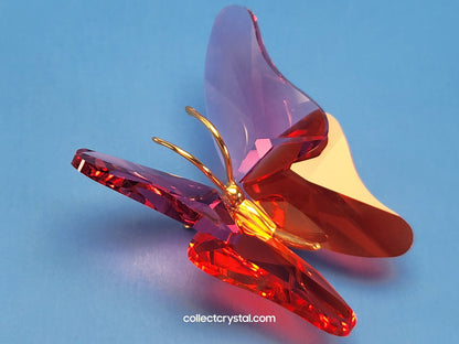PARADISE BUGS OBJECT – BUTTERFLY ABALA ROSE MEDIUM 250461