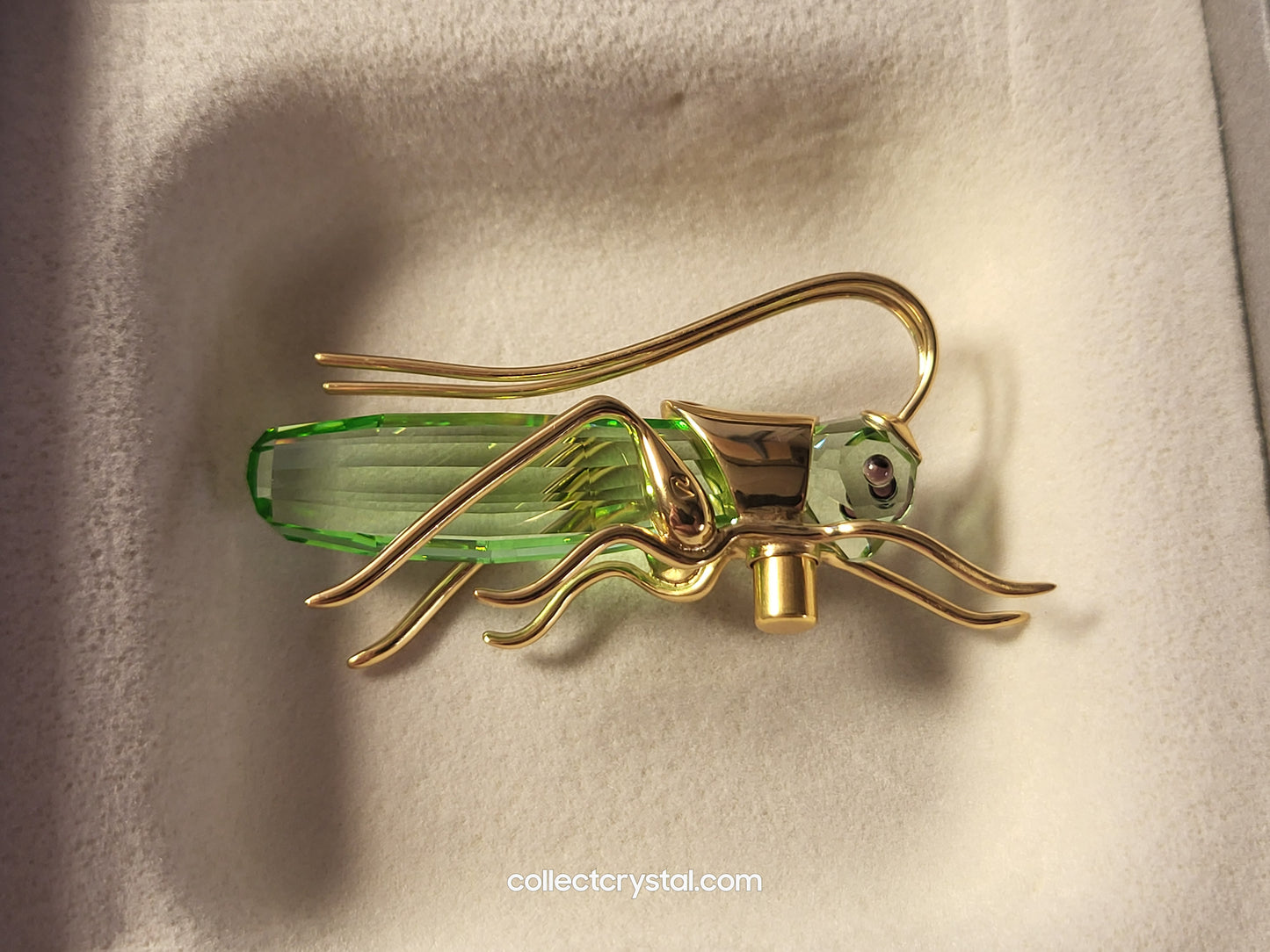 PARADISE BUGS OBJECT – GRASSHOPPER APTERA CHRYSOLITE LARGE 250469