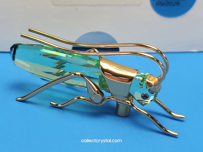 PARADISE BUGS OBJECT – GRASSHOPPER APTERA CHRYSOLITE LARGE 250469