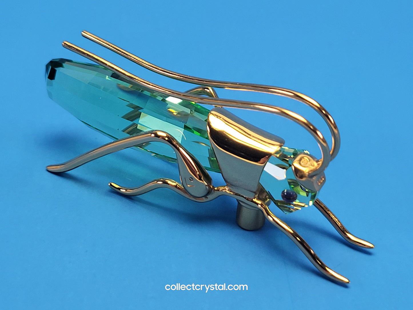 PARADISE BUGS OBJECT – GRASSHOPPER APTERA CHRYSOLITE LARGE 250469