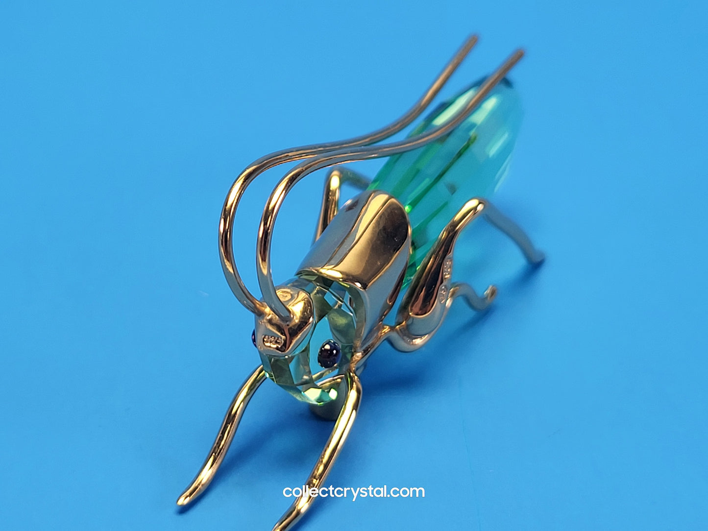 PARADISE BUGS OBJECT – GRASSHOPPER APTERA CHRYSOLITE LARGE 250469