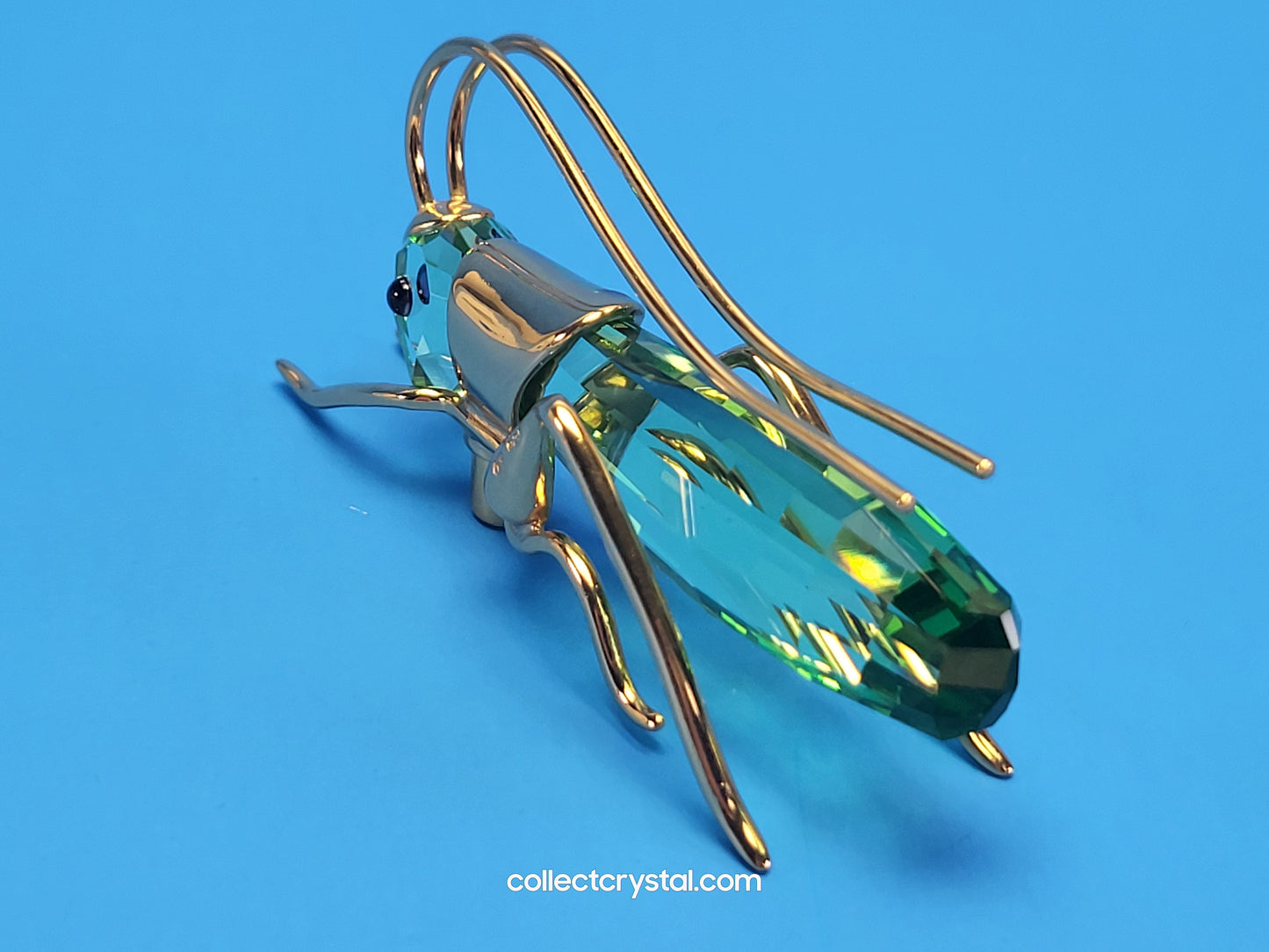 PARADISE BUGS OBJECT – GRASSHOPPER APTERA CHRYSOLITE LARGE 250469