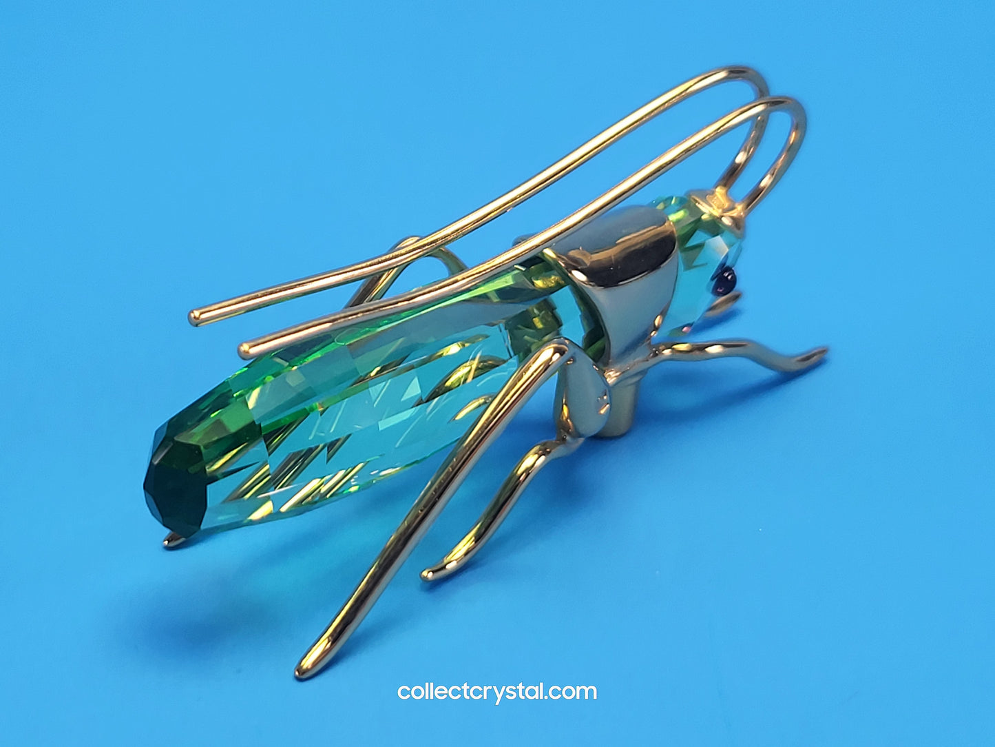 PARADISE BUGS OBJECT – GRASSHOPPER APTERA CHRYSOLITE LARGE 250469