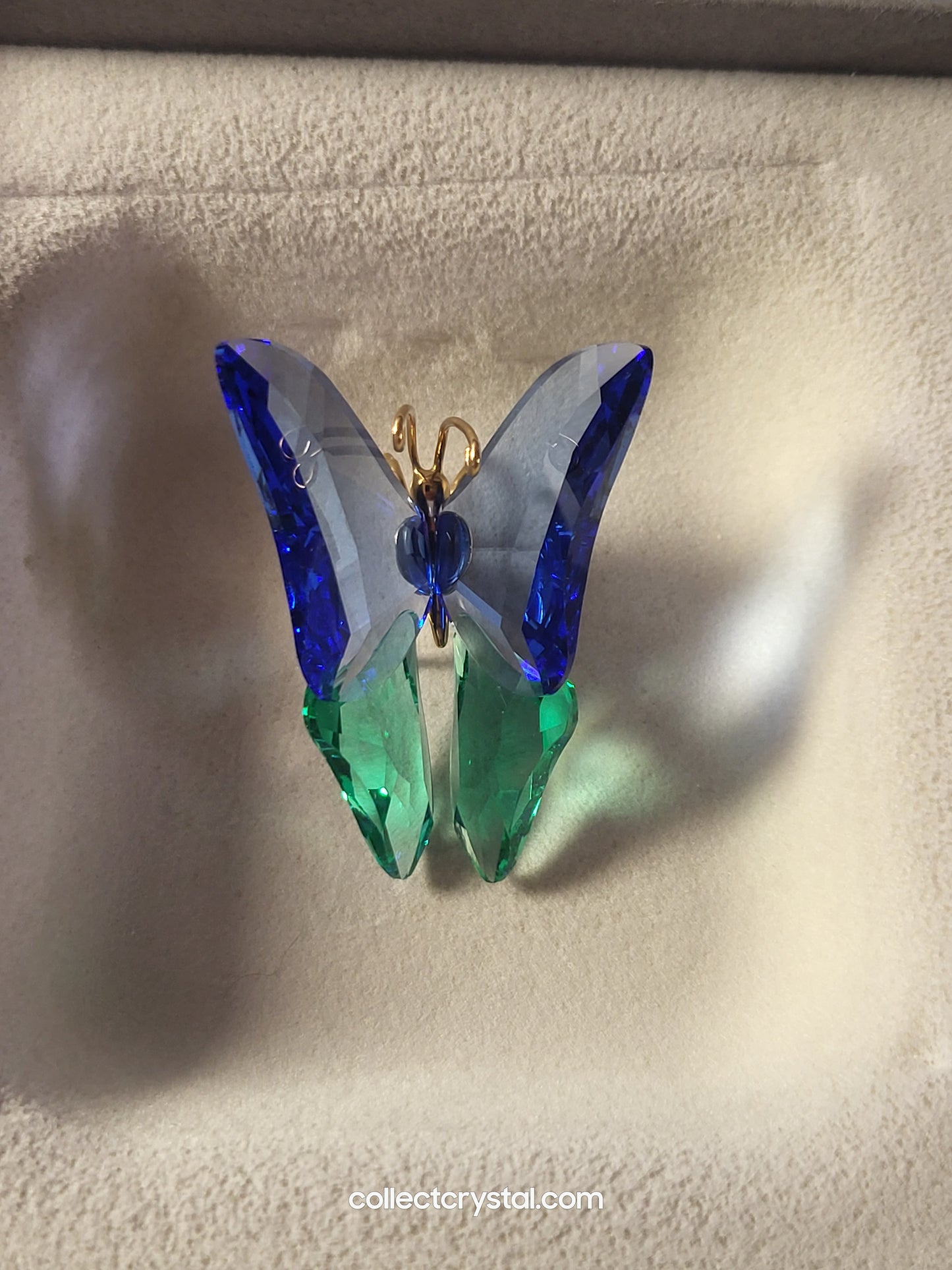 PARADISE BUGS OBJECT – BUTTERFLY ACADIA SAPPHIRE MEDIUM 250462
