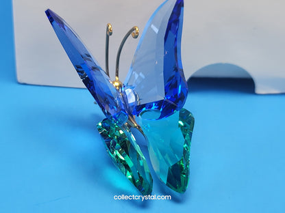 PARADISE BUGS OBJECT – BUTTERFLY ACADIA SAPPHIRE MEDIUM 250462
