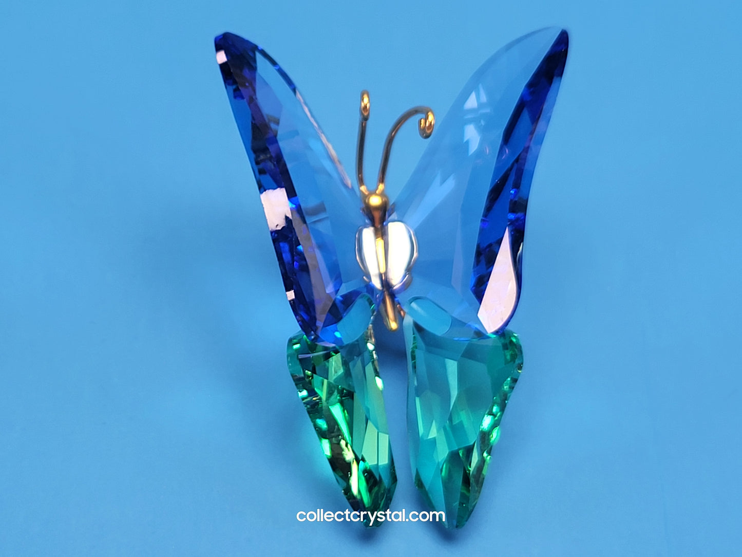 PARADISE BUGS OBJECT – BUTTERFLY ACADIA SAPPHIRE MEDIUM 250462