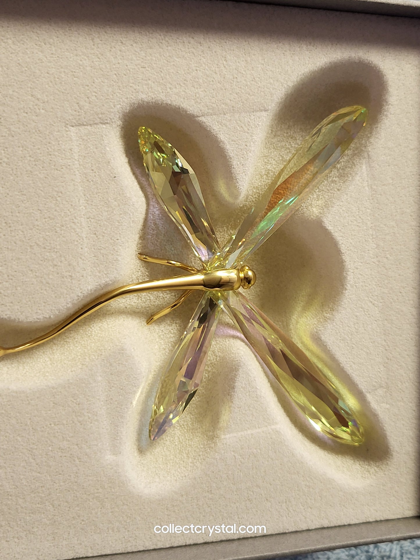 PARADISE BUGS OBJECT – DRAGONFLY ALIBEY JONQUIL 250481 / 243085