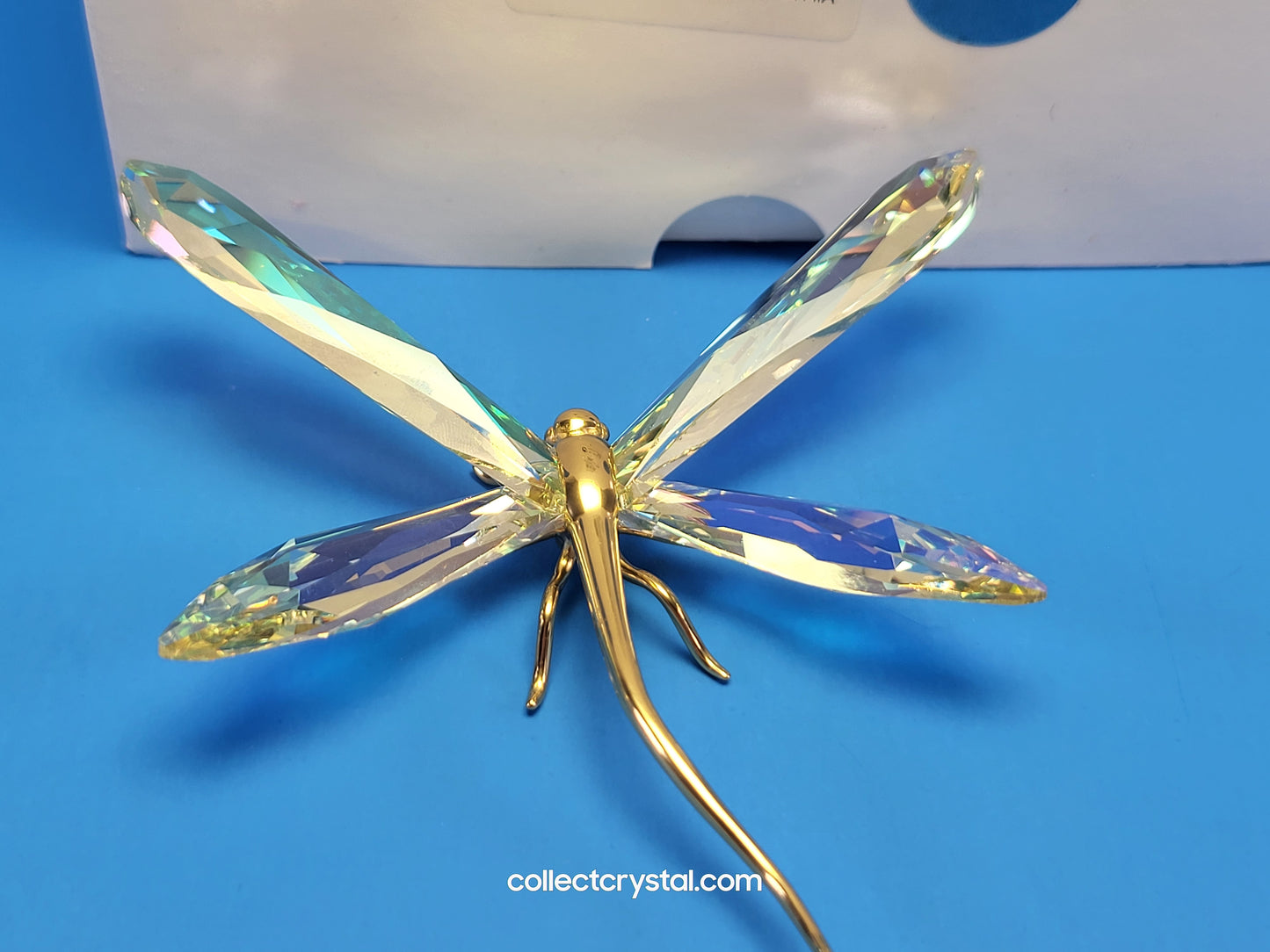 PARADISE BUGS OBJECT – DRAGONFLY ALIBEY JONQUIL 250481 / 243085
