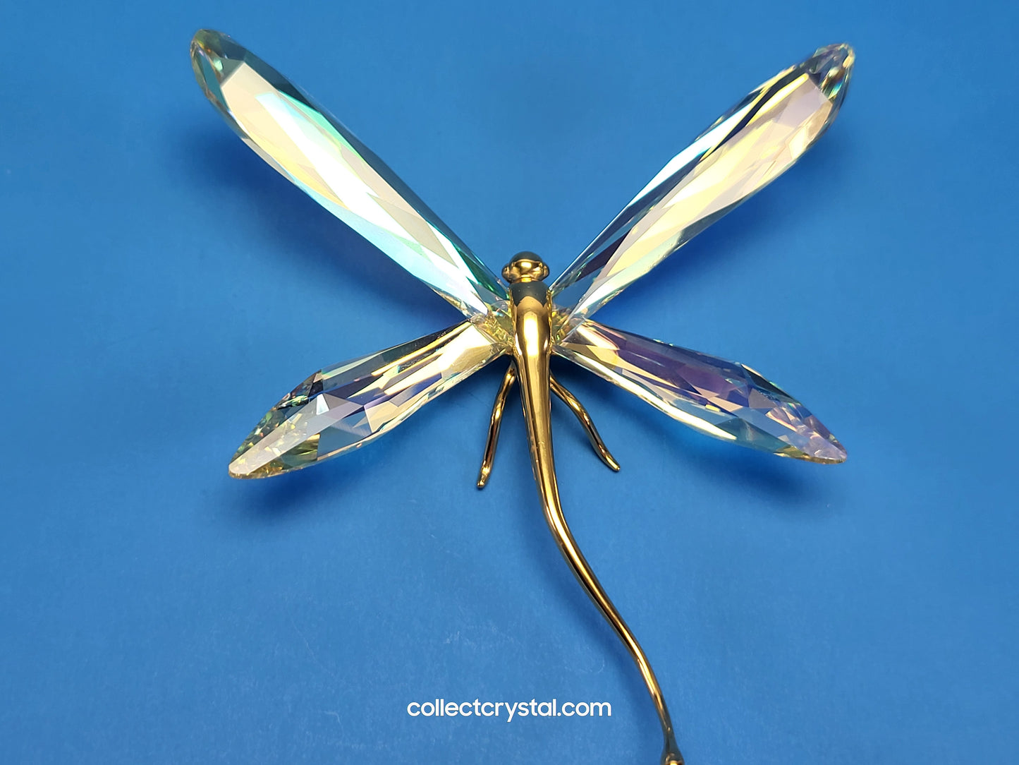 PARADISE BUGS OBJECT – DRAGONFLY ALIBEY JONQUIL 250481 / 243085