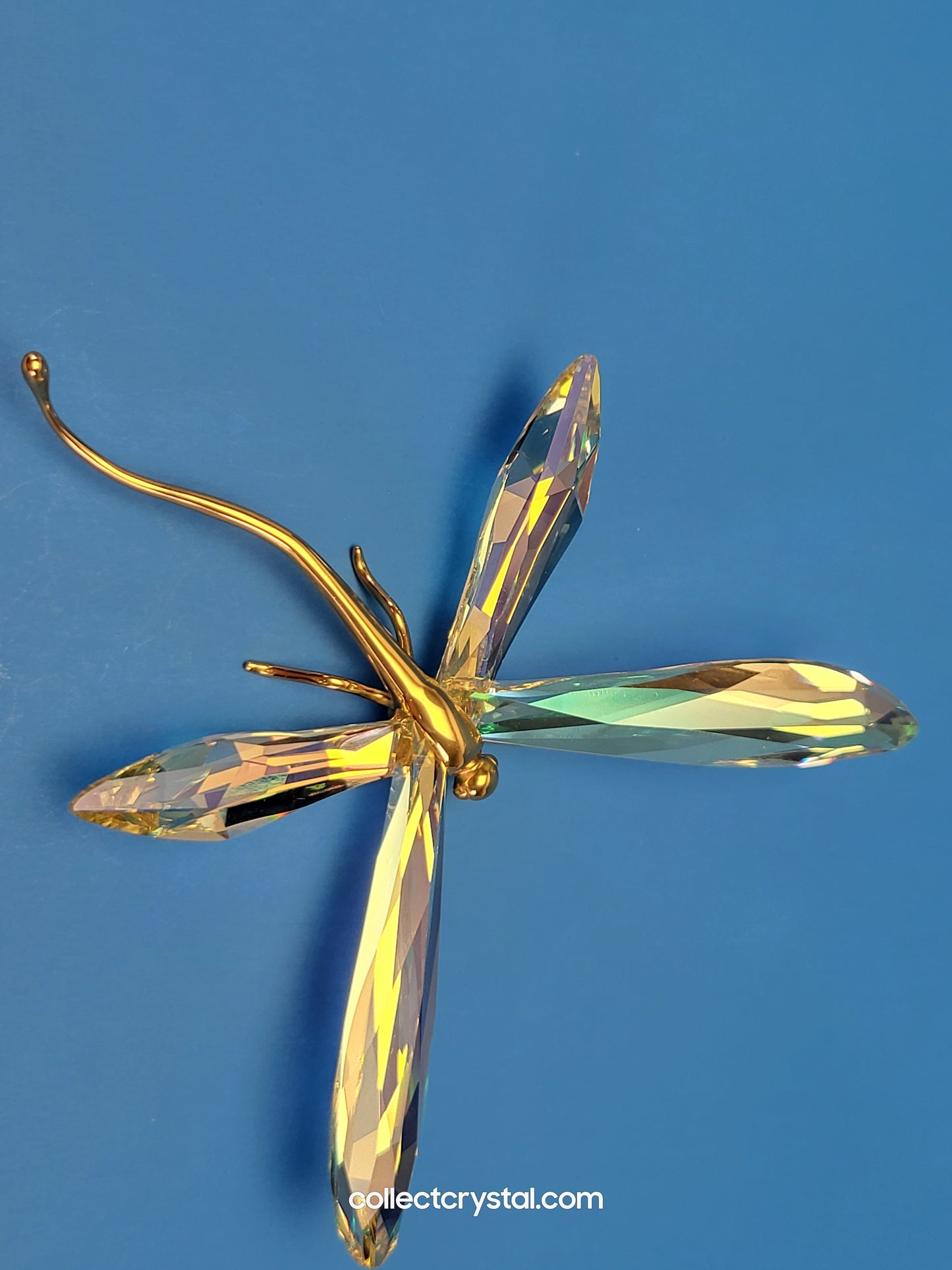 PARADISE BUGS OBJECT – DRAGONFLY ALIBEY JONQUIL 250481 / 243085