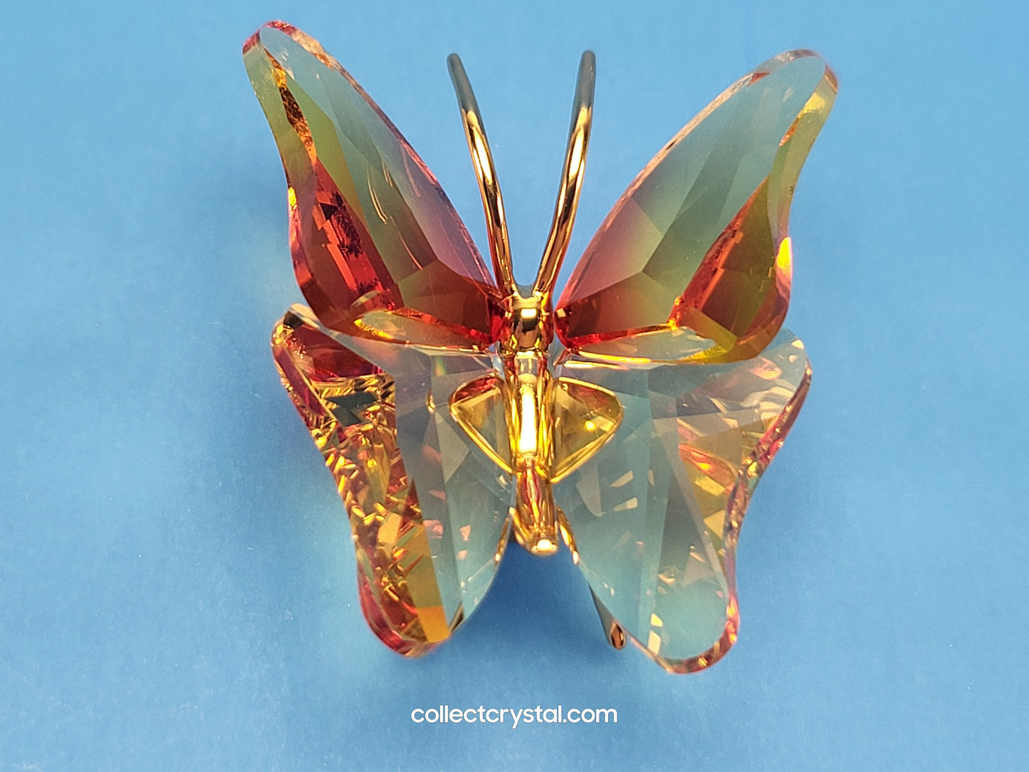 PARADISE BUGS OBJECT – BUTTERFLY ABALA FIRE-OPAL SMALL 250426