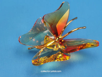 PARADISE BUGS OBJECT – BUTTERFLY ABALA FIRE-OPAL SMALL 250426