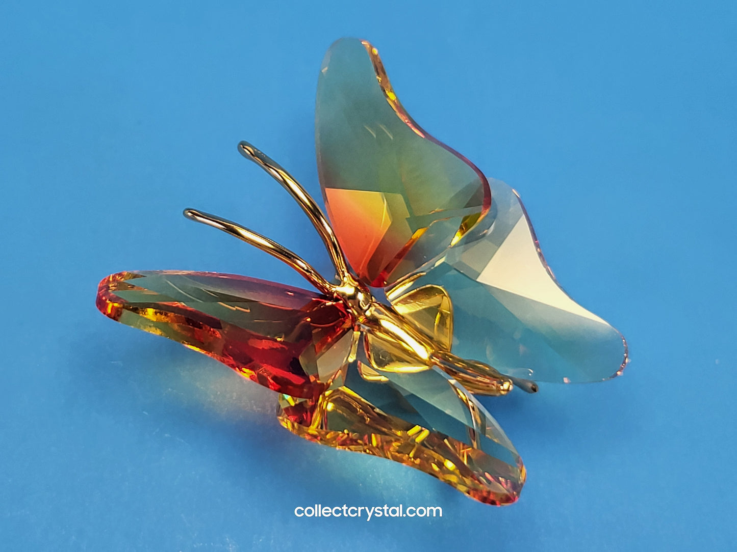PARADISE BUGS OBJECT – BUTTERFLY ABALA FIRE-OPAL SMALL 250426
