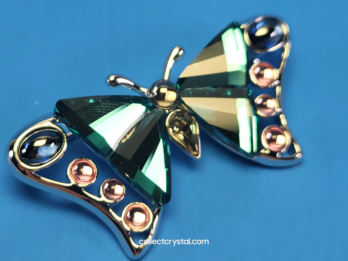 PARADISE BUGS BROOCH – BUTTERFLY ALUA INDICOLITE - Version 1 # 719484