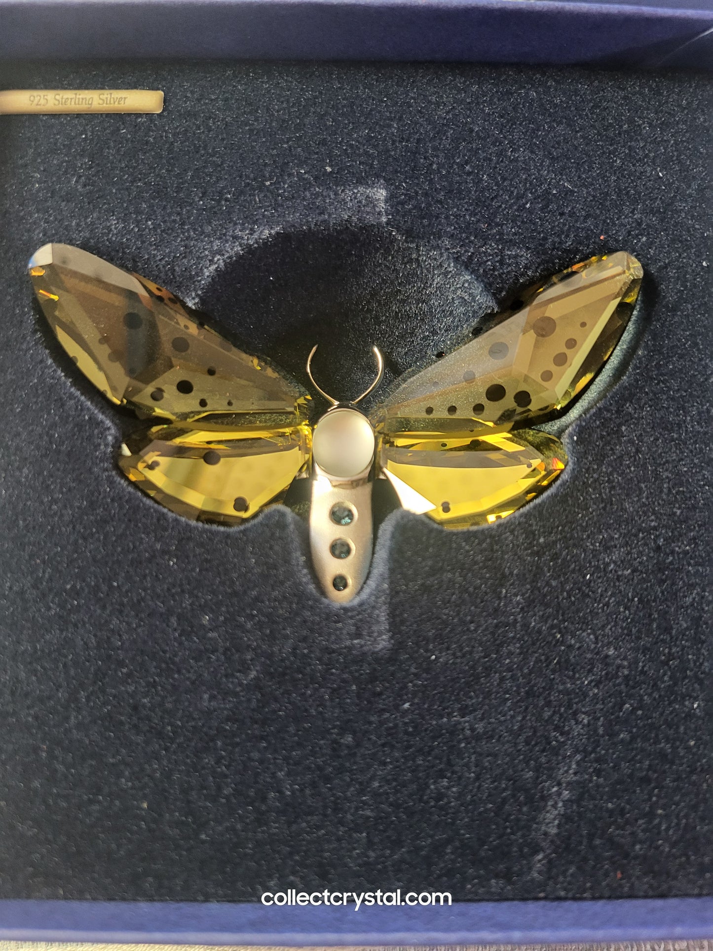 PARADISE BUGS OBJECT – BUTTERFLY AMORITA JONQUIL & Leaf  # 622743