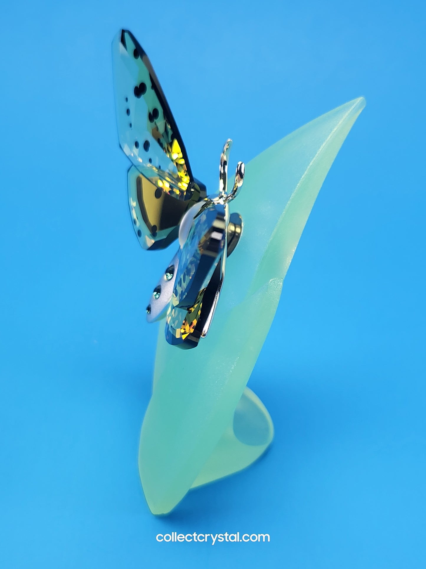 PARADISE BUGS OBJECT – BUTTERFLY AMORITA JONQUIL & Leaf  # 622743
