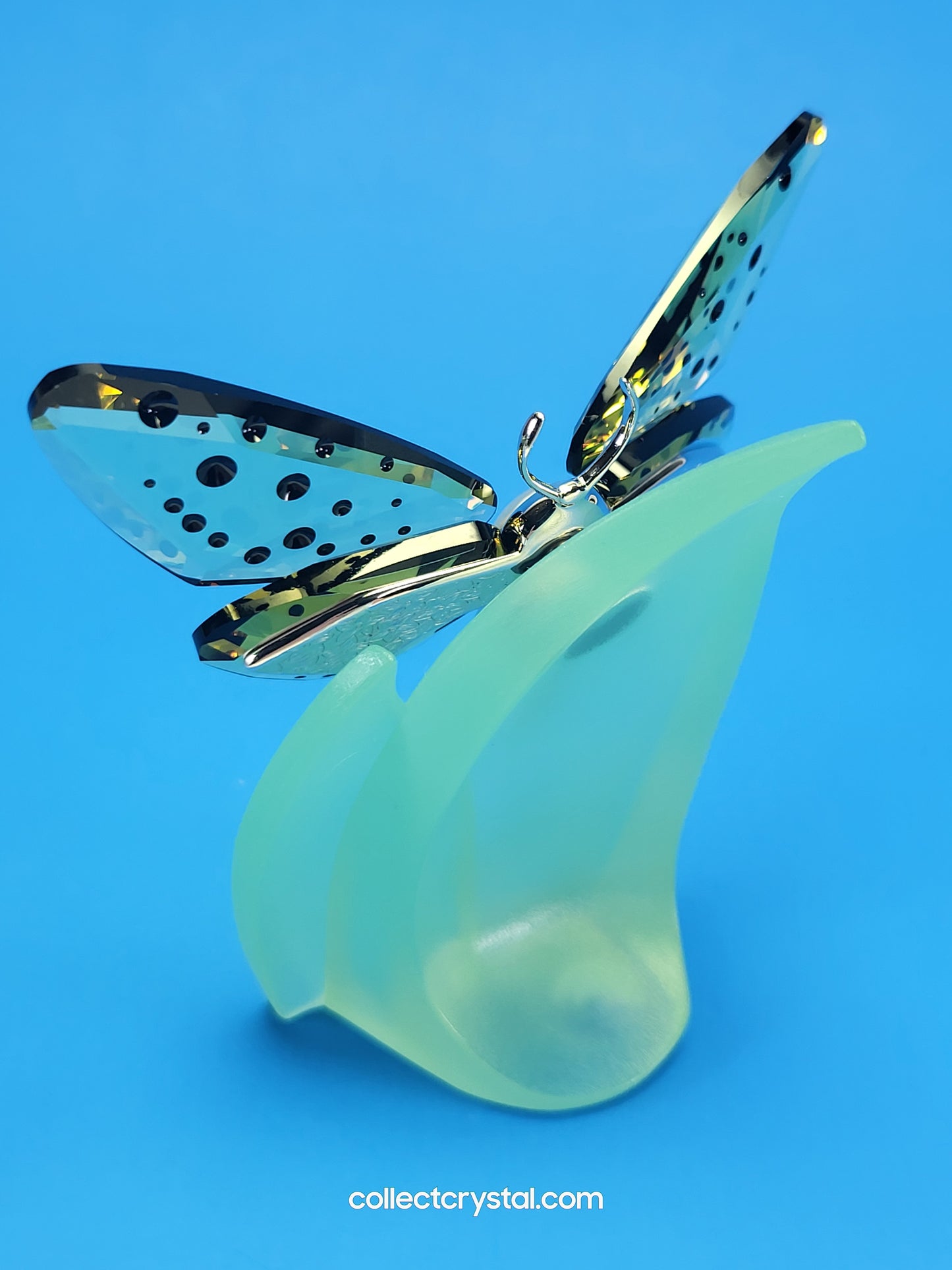 PARADISE BUGS OBJECT – BUTTERFLY AMORITA JONQUIL & Leaf  # 622743