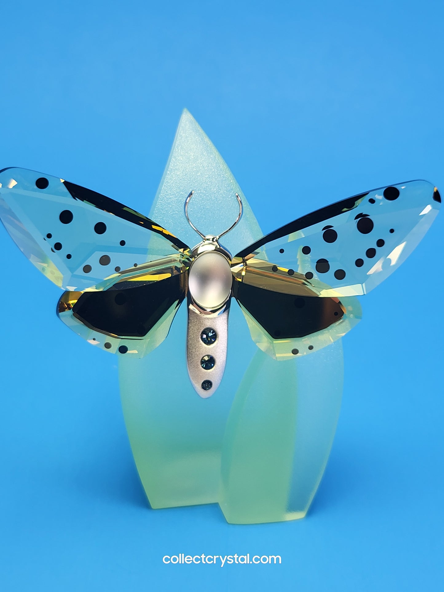 PARADISE BUGS OBJECT – BUTTERFLY AMORITA JONQUIL & Leaf  # 622743