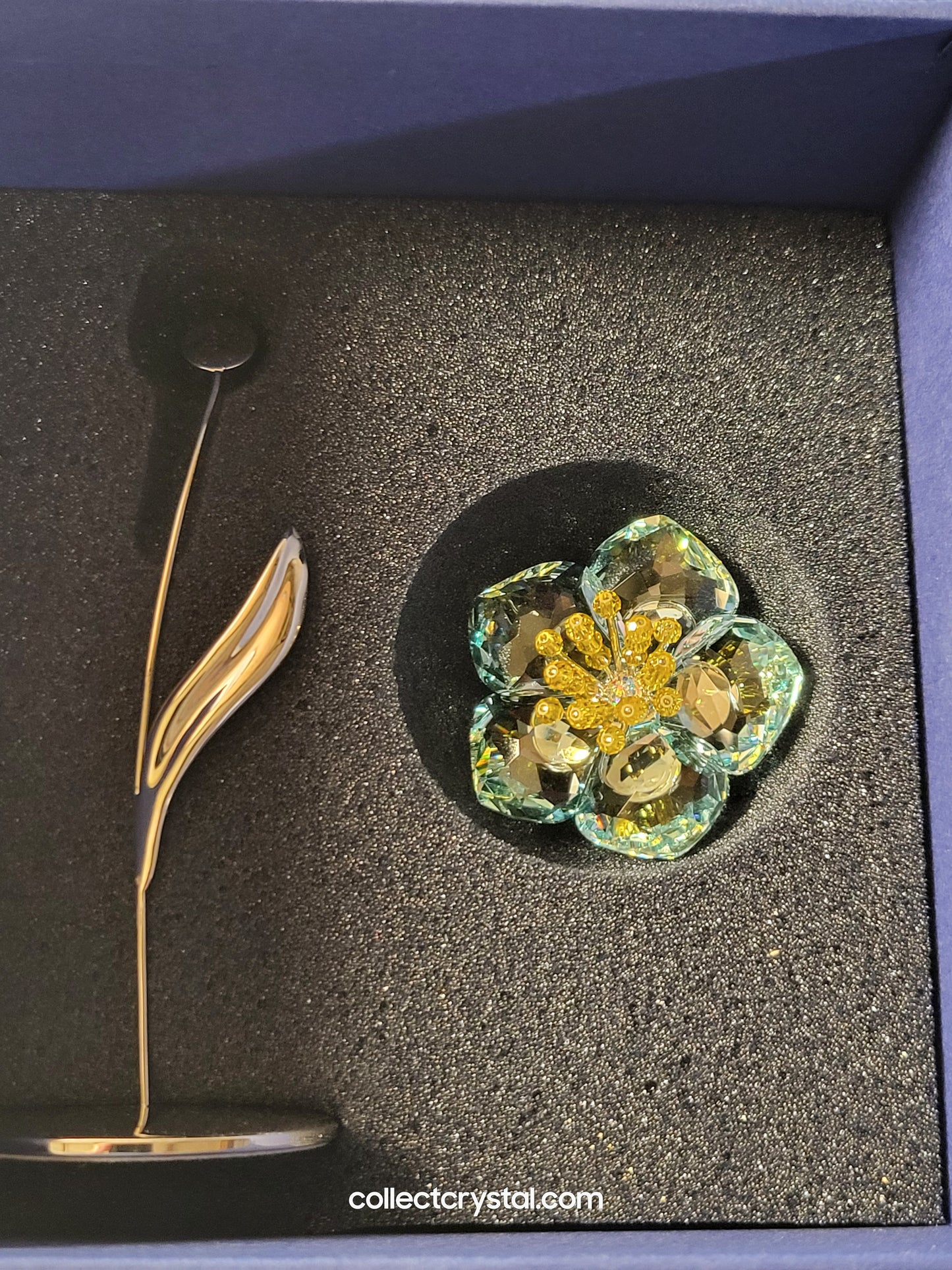 PARADISE FLOWERS – DAENI LIGHT TOPAZ 848451