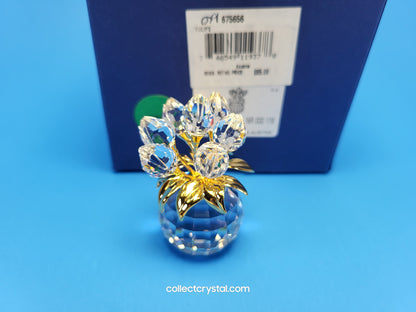 MEMORIES – TULIPS GOLD # 675656