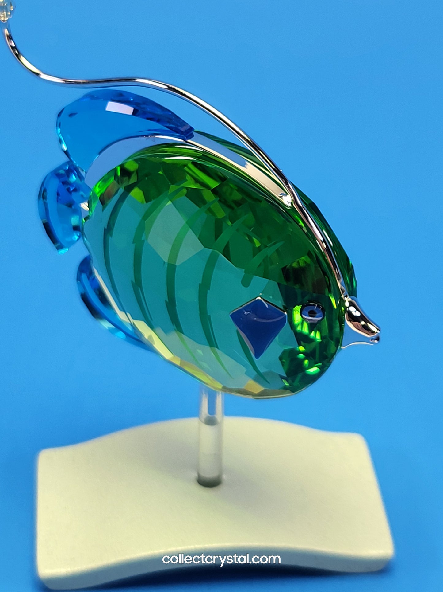 PARADISE FISH AND SOUTH SEA – OBJECT CHIRA PERIDOT 626204