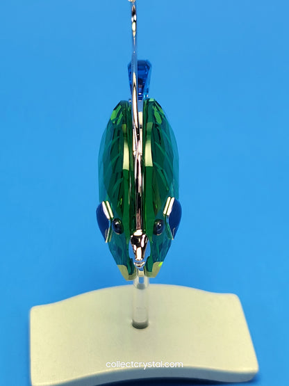 PARADISE FISH AND SOUTH SEA – OBJECT CHIRA PERIDOT 626204