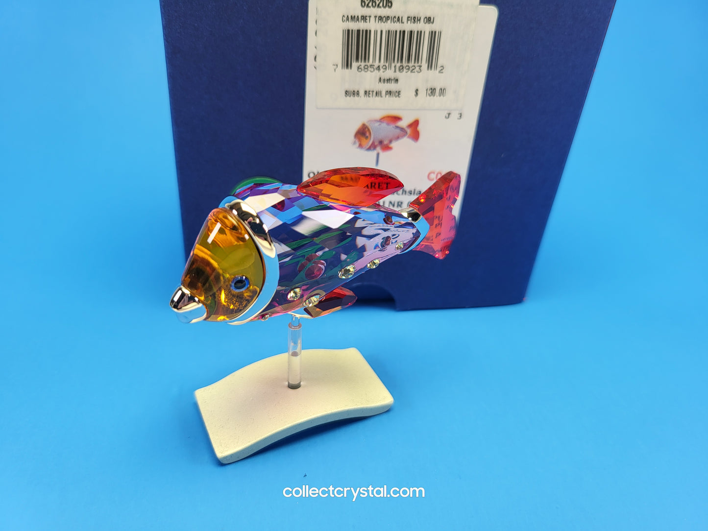 PARADISE FISH AND SOUTH SEA – OBJECT CAMARET FUCHSIA RAIN 626205