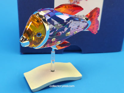 PARADISE FISH AND SOUTH SEA – OBJECT CAMARET FUCHSIA RAIN 626205