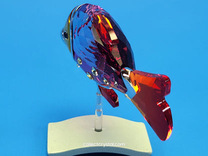 PARADISE FISH AND SOUTH SEA – OBJECT CAMARET FUCHSIA RAIN 626205