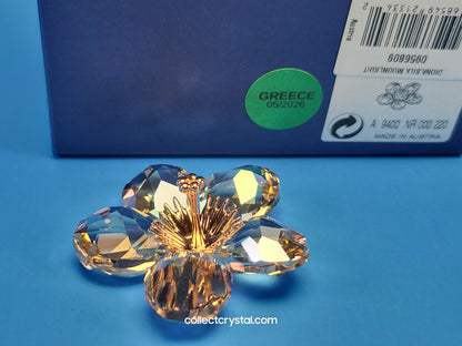 PARADISE FLOWERS – DIONA SILK MOONLIGHT BLOSSOM # 956808