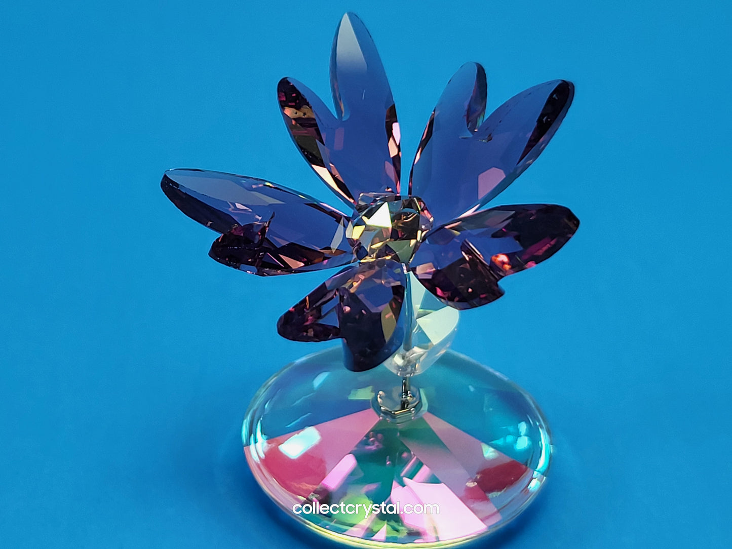 ROCKING FLOWER – LIZ # 1048711