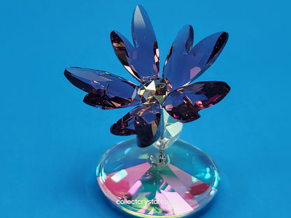 ROCKING FLOWER – LIZ # 1048711