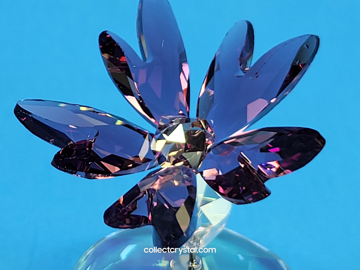 ROCKING FLOWER – LIZ # 1048711