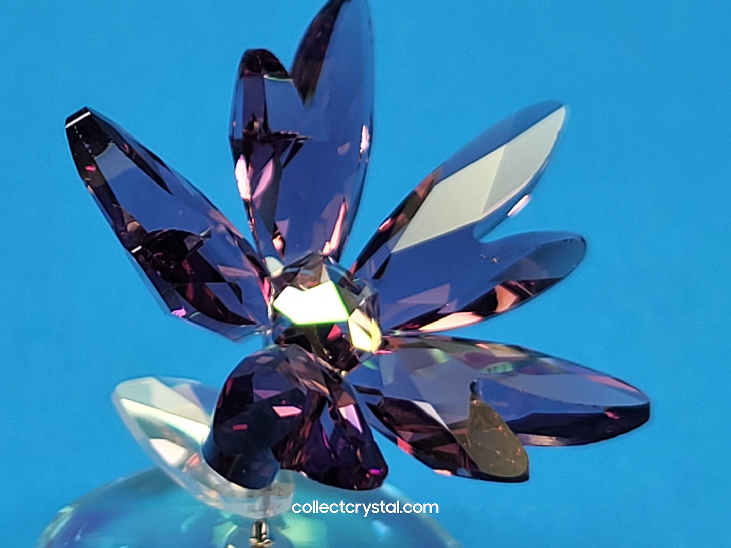ROCKING FLOWER – LIZ # 1048711