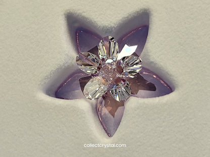 PARADISE FLOWERS – DEGIA ROSALINE MOONLIGHT 956807