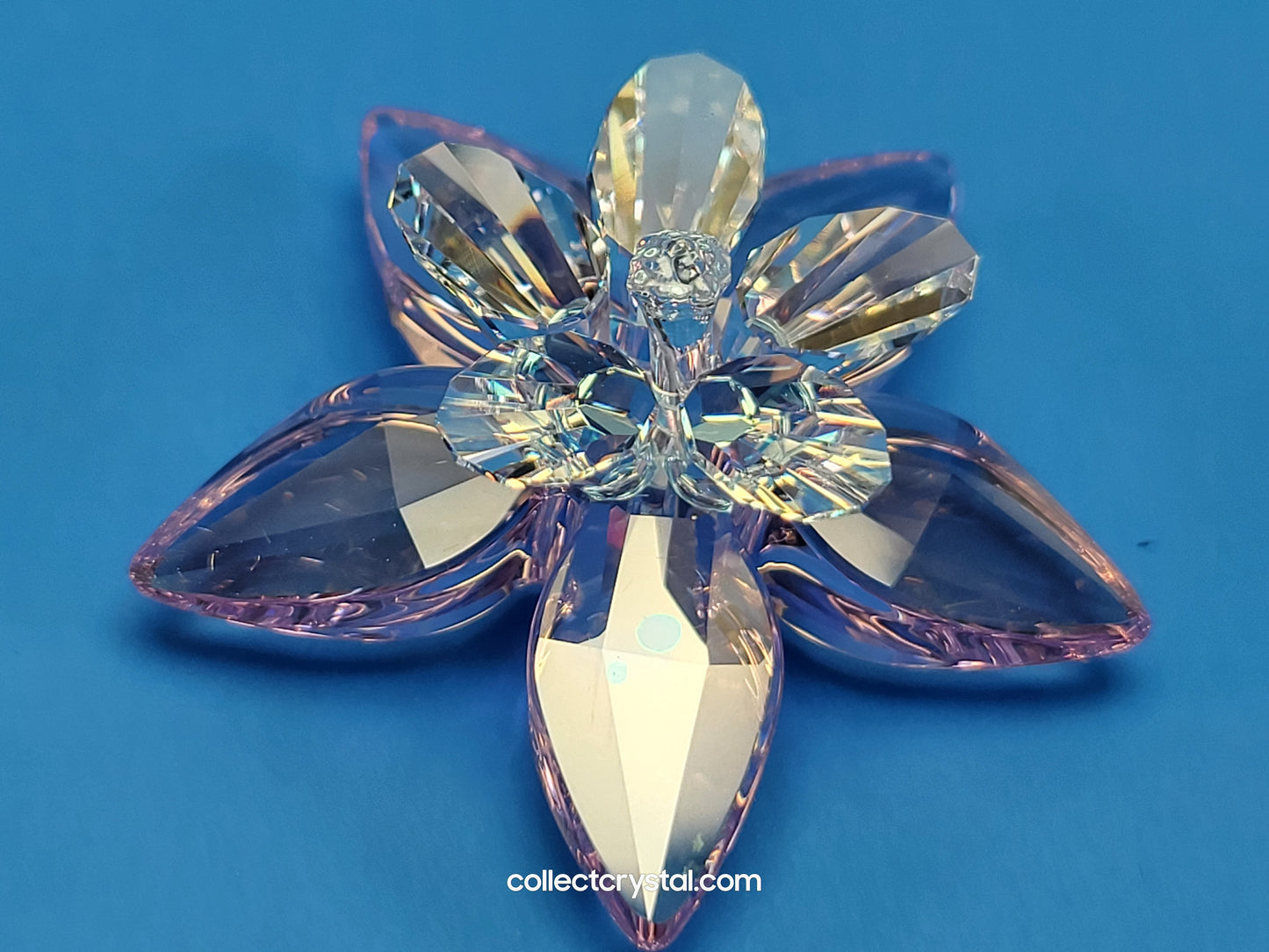 PARADISE FLOWERS – DEGIA ROSALINE MOONLIGHT 956807