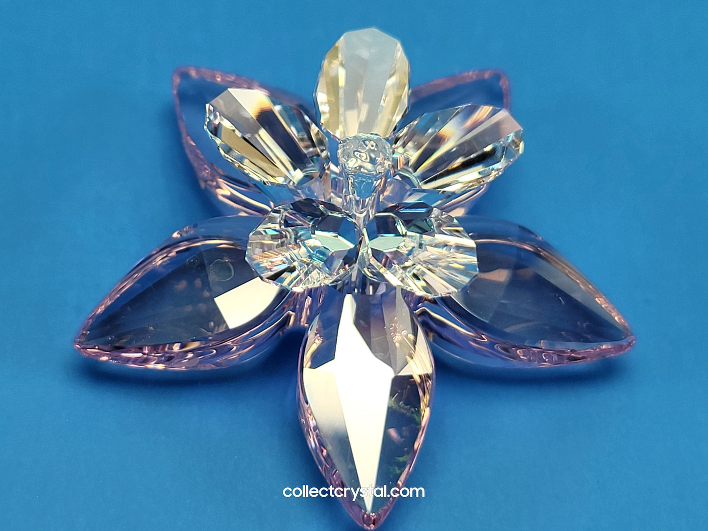 PARADISE FLOWERS – DEGIA ROSALINE MOONLIGHT 956807