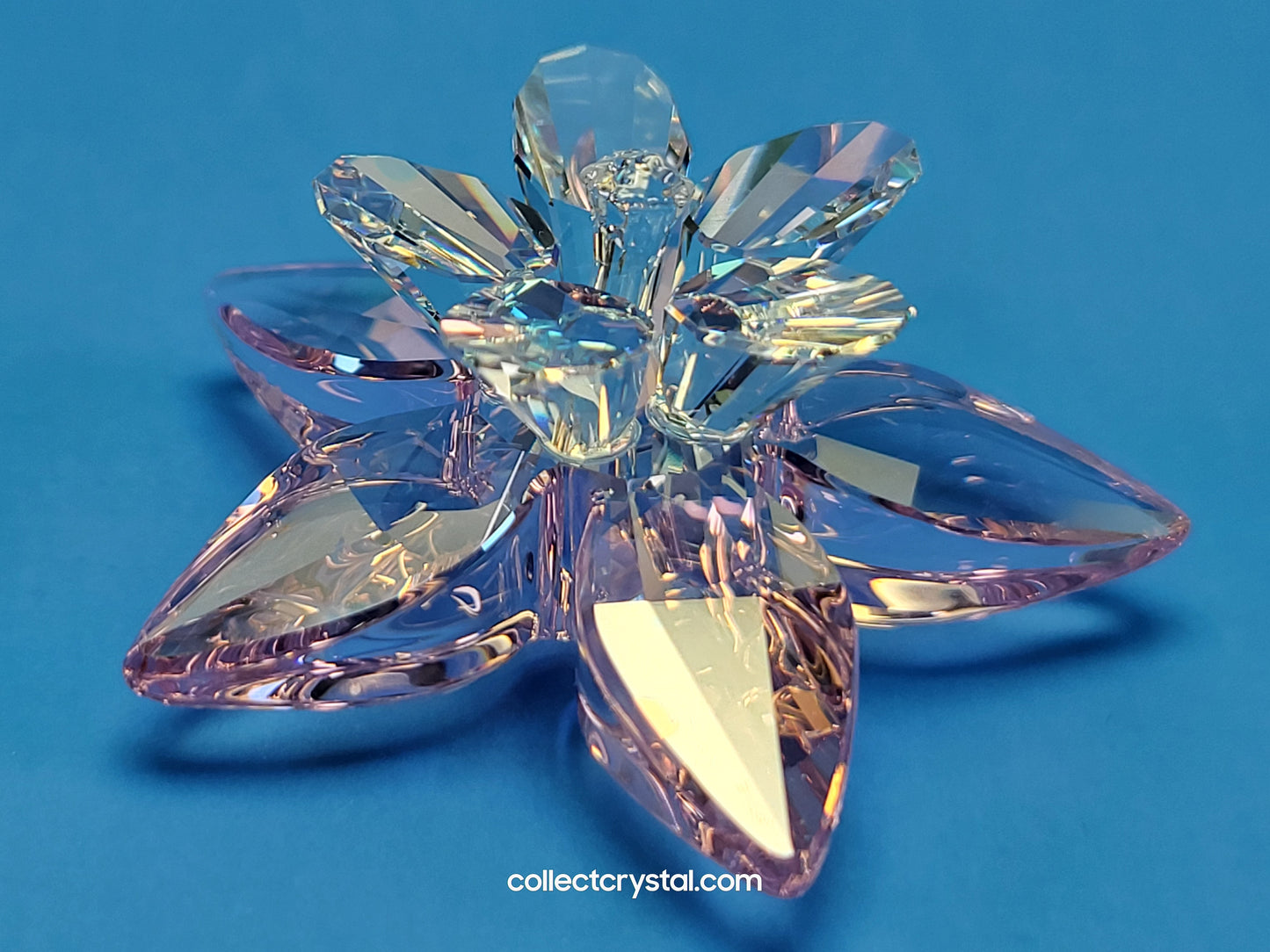PARADISE FLOWERS – DEGIA ROSALINE MOONLIGHT 956807