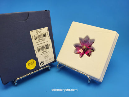 PARADISE FLOWERS – DILICIA FUCHSIA RAIN Blossom # 956806