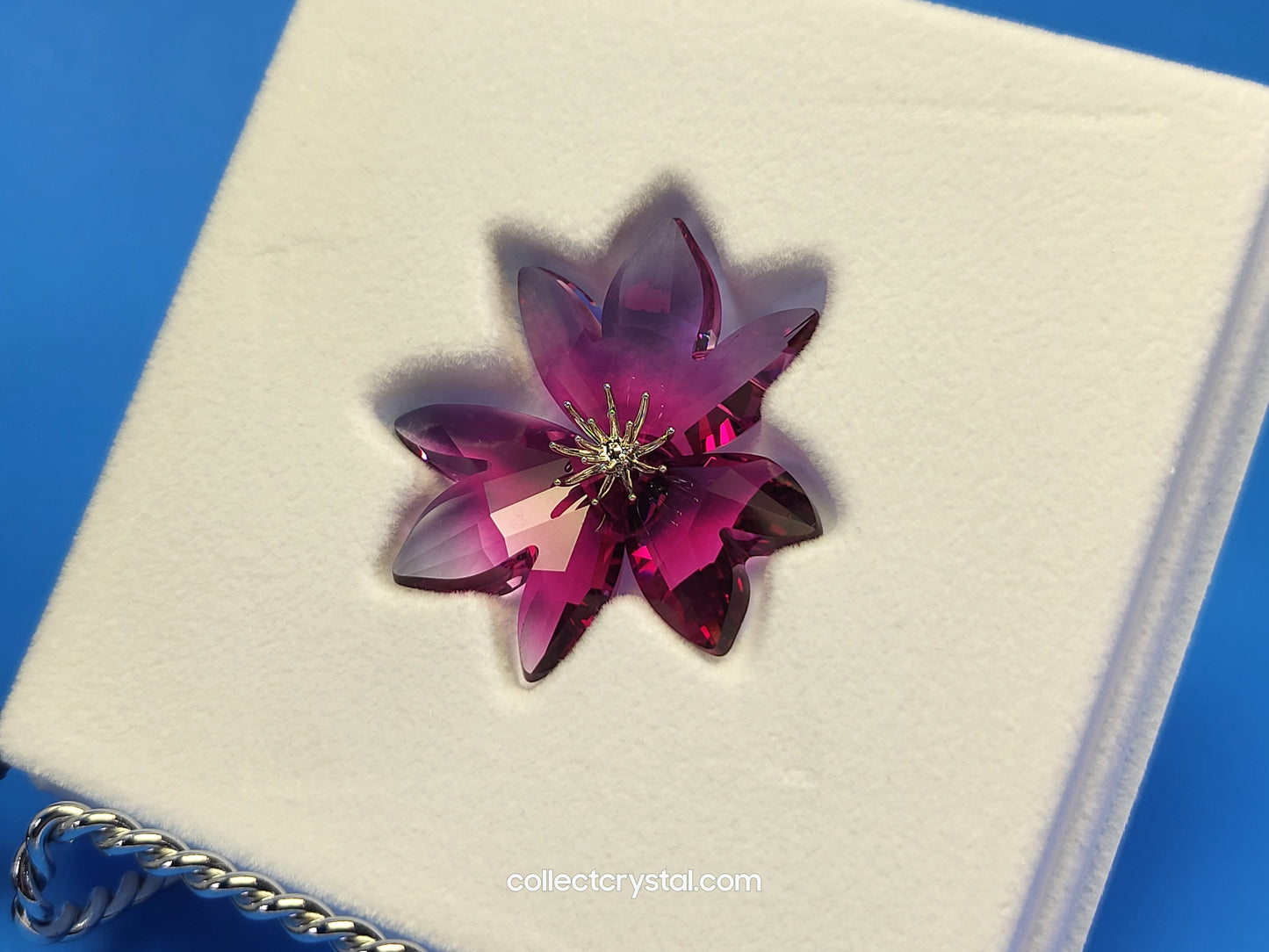 PARADISE FLOWERS – DILICIA FUCHSIA RAIN Blossom # 956806