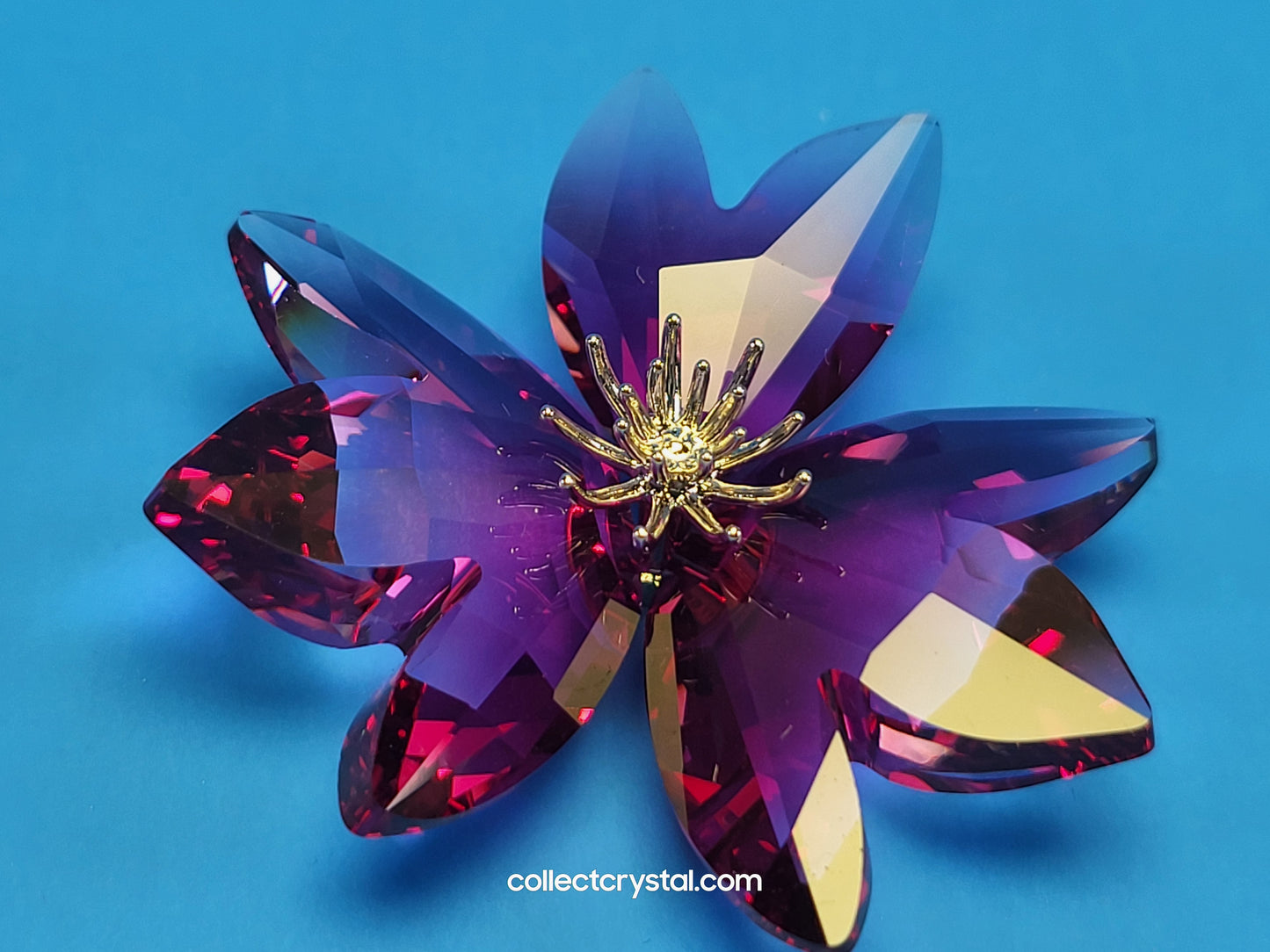 PARADISE FLOWERS – DILICIA FUCHSIA RAIN Blossom # 956806