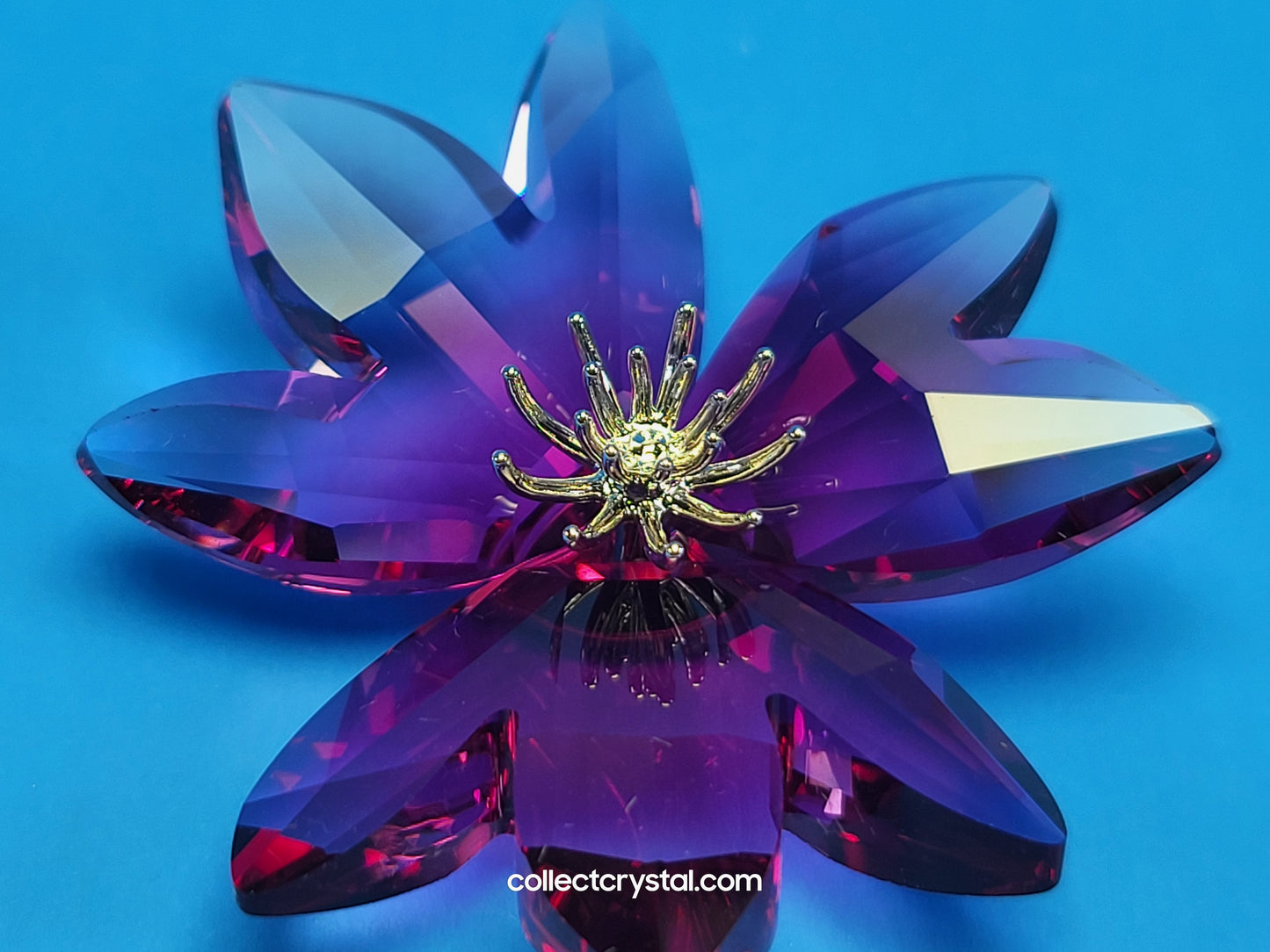PARADISE FLOWERS – DILICIA FUCHSIA RAIN Blossom # 956806
