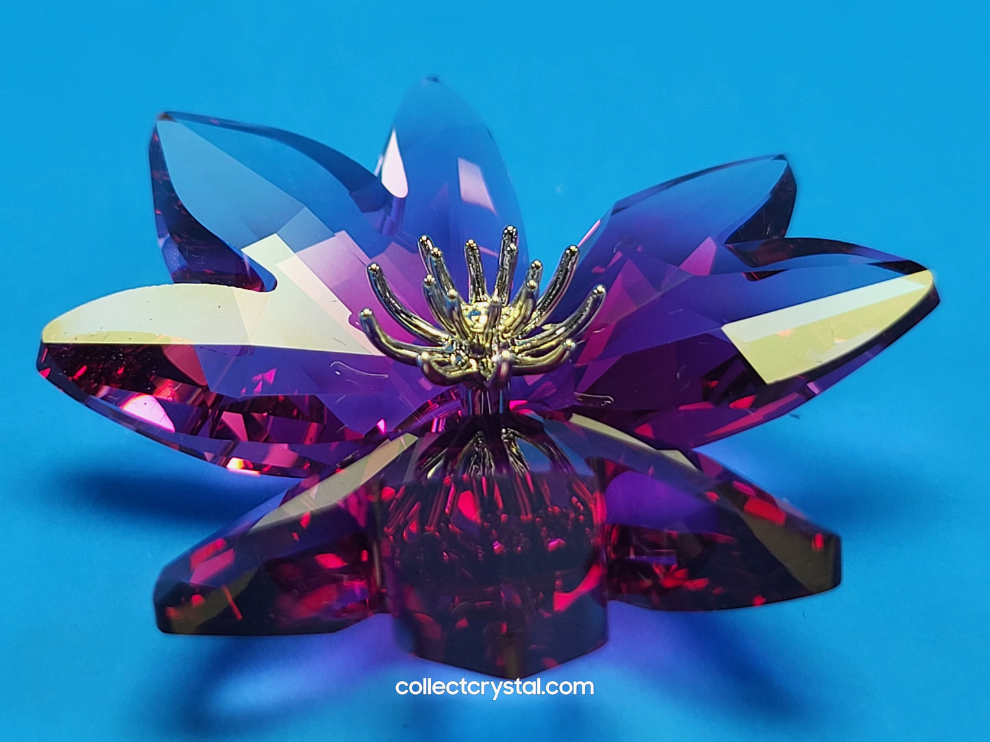 PARADISE FLOWERS – DILICIA FUCHSIA RAIN Blossom # 956806