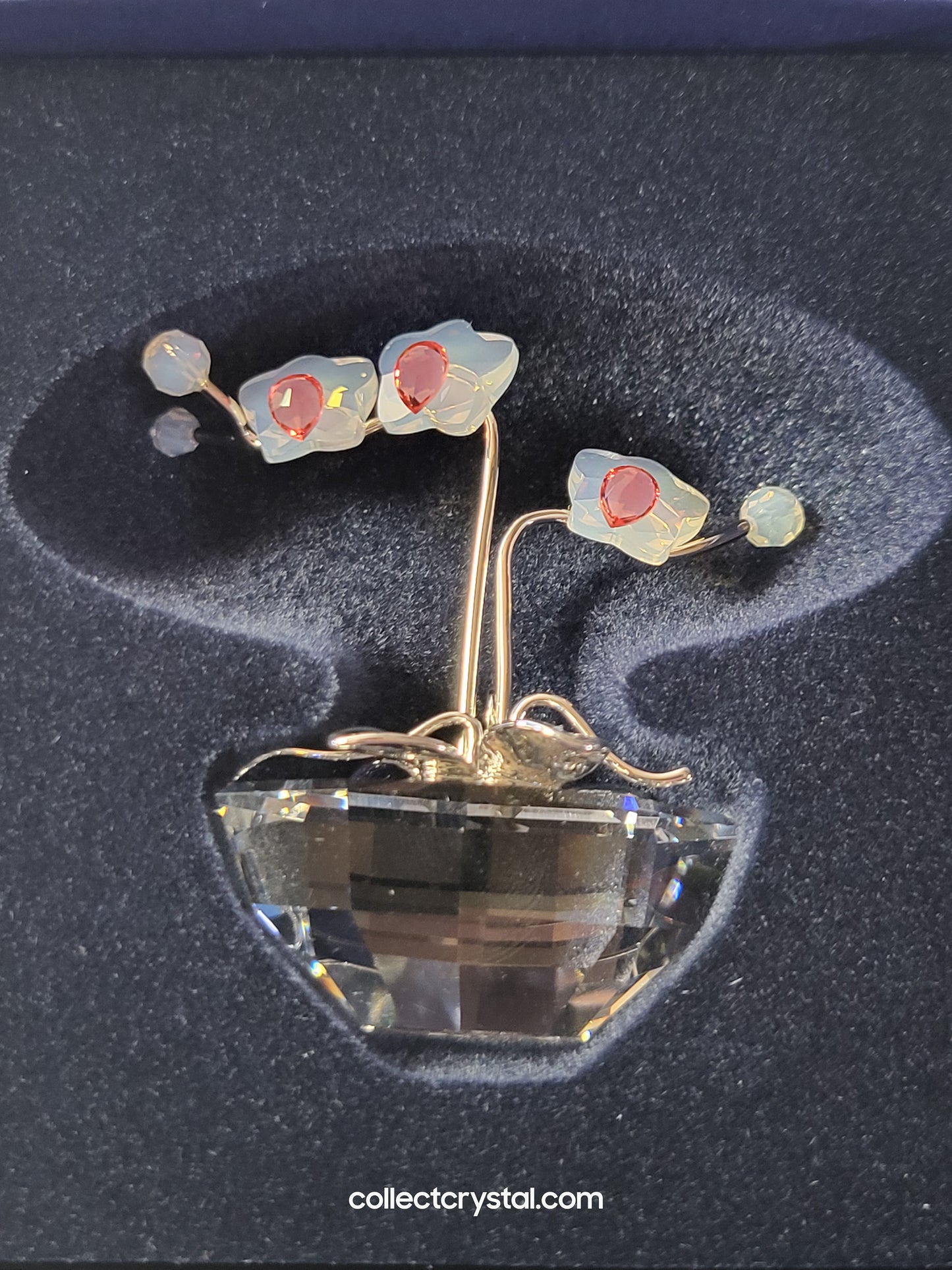 MEMORIES – ORCHID Flowers in RHODIUM Pot # 869948
