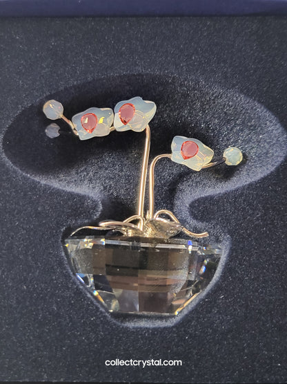 MEMORIES – ORCHID Flowers in RHODIUM Pot # 869948