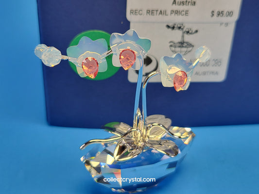 MEMORIES – ORCHID Flowers in RHODIUM Pot # 869948