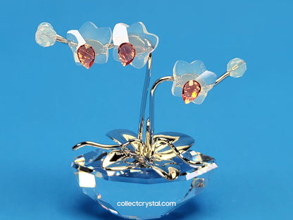 MEMORIES – ORCHID Flowers in RHODIUM Pot # 869948