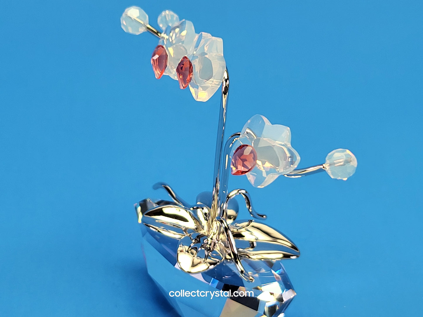 MEMORIES – ORCHID Flowers in RHODIUM Pot # 869948