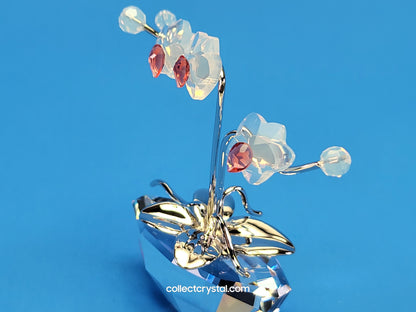 MEMORIES – ORCHID Flowers in RHODIUM Pot # 869948